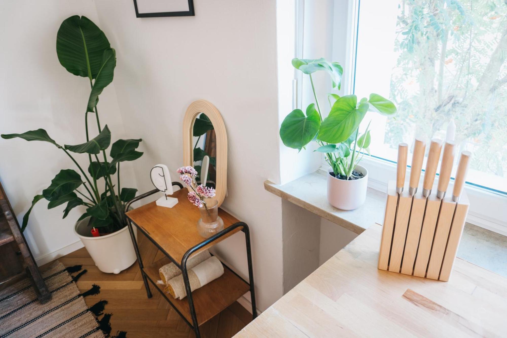 Apartmán Raum Life - Vintage Loft - Heimkino Netflix - 2X Privat Parkplaetze Straubing Exteriér fotografie