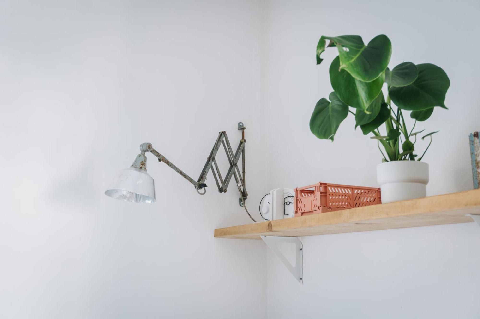 Apartmán Raum Life - Vintage Loft - Heimkino Netflix - 2X Privat Parkplaetze Straubing Exteriér fotografie